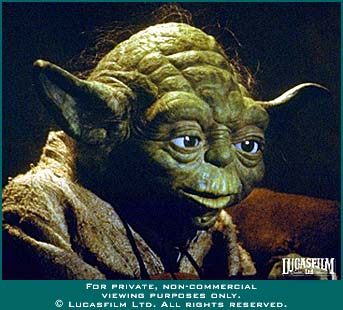 The front, right view of Yoda's head