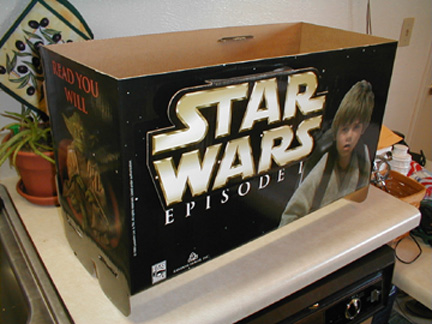 Top of an Episode I book display (Anakin and Yoda)
