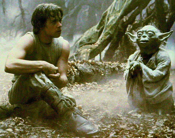Luke sitting on the ground, Yoda looking up
