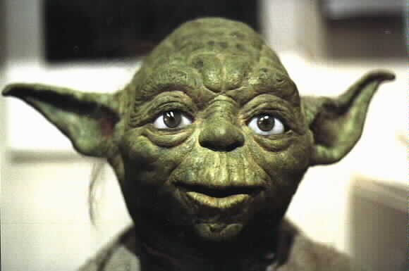 A close-up of the face of the Yoda puppet used in the movies