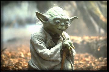 A crisp Yoda pic