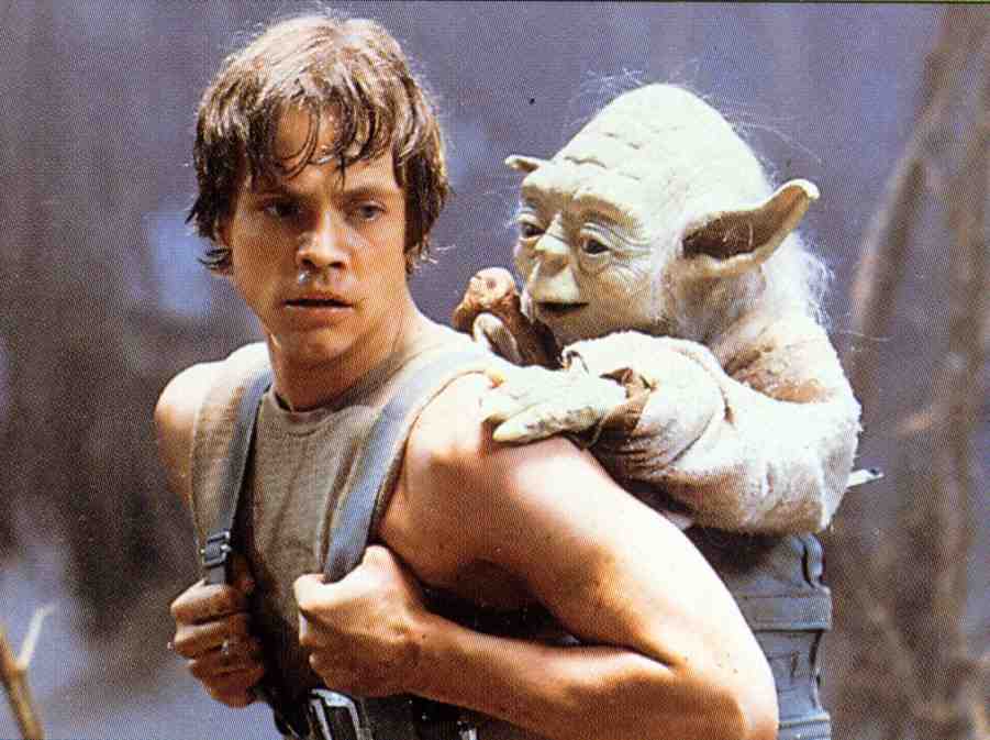 A big picture of Yoda on Luke's back