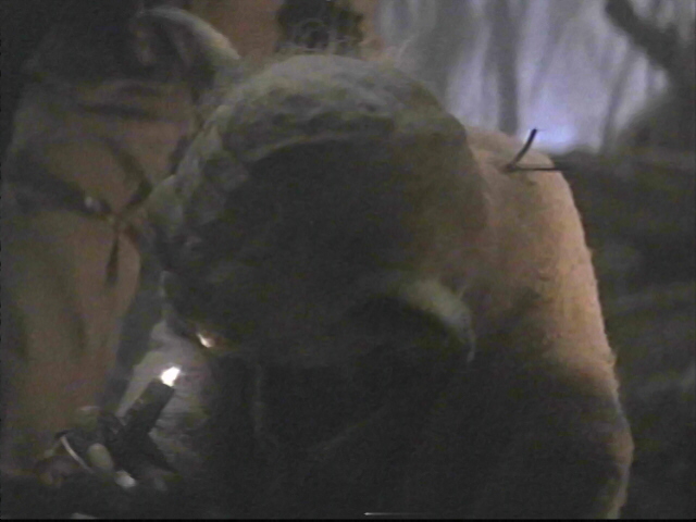 Yoda looking into a flashlight