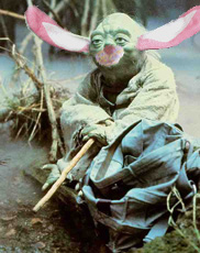 Yoda decided to be a bunny for halloween