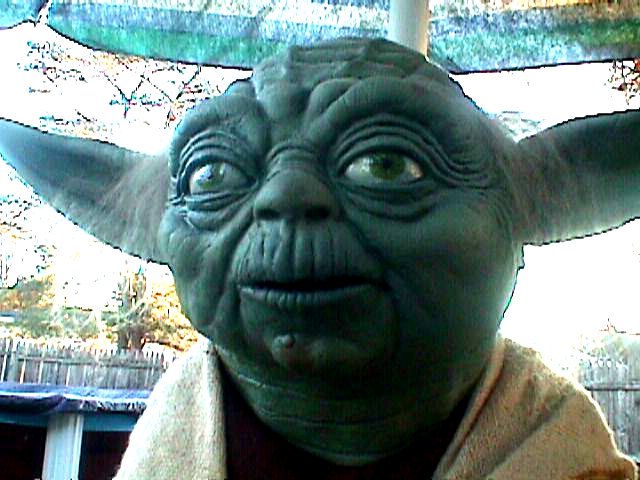 Another front head view of the life-sized Yoda replica