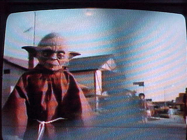 A close-up of a Yoda costume as seen through the eyes of ET (from the movie ET)
