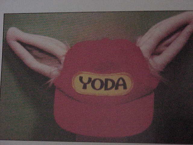 Red version of Yoda ear hat (picture from an unauthorized book)