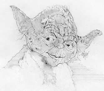 Yoda sketch