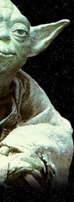 The right half of Yoda's face (his left)