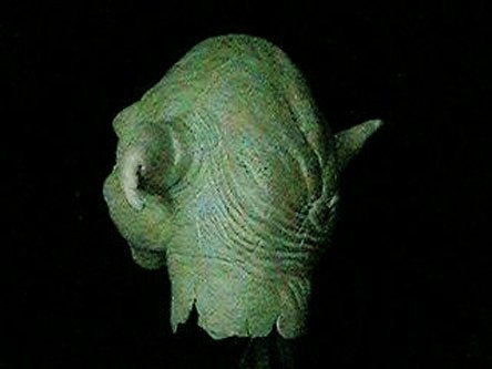 Right rear view of the head of the Yoda puppet