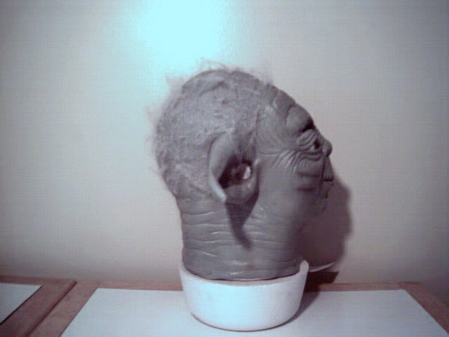 Side of Don Post Yoda mask