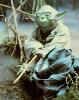 Yoda sitting on a log - 546x691