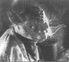 Black and White picture of Yoda - 331x299