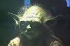 Yoda's head - 300x200