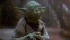 Waist up picture of Yoda - 226x131