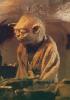 Yoda cooking in his hut - 268x380