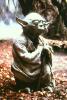 Yoda on Dagobah - 405x598