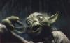 This is Yoda with a funnier look on his face - 556x345