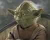 Yoda on Kashyyyk, during the Jedi Council meeting - 120x97