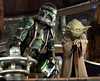 Yoda talking to the green clonetrooper on Kashyyyk - 700x564